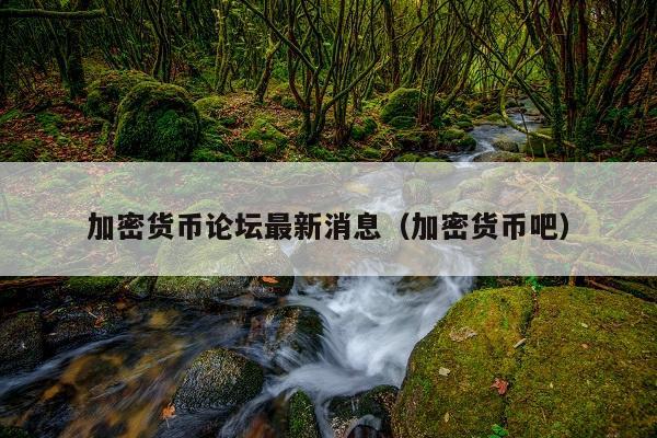 加密货币论坛最新消息(加密货币吧)