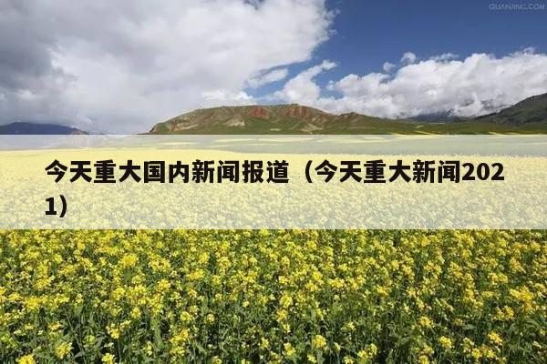 今天重大国内新闻报道(今天重大新闻2021)