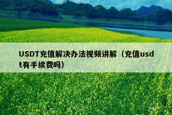 USDT充值解决办法视频讲解(充值usdt有手续费吗)