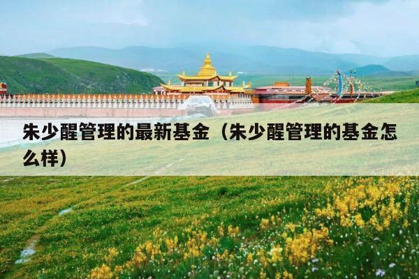 朱少醒管理的最新基金(朱少醒管理的基金怎么样)