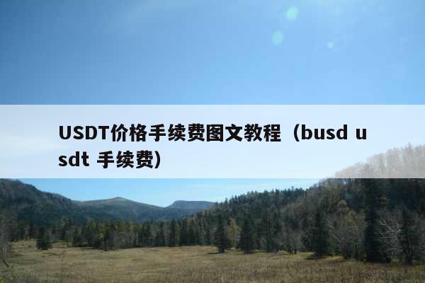 USDT价格手续费图文教程(busd usdt 手续费)