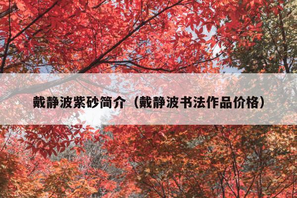 戴静波紫砂简介(戴静波书法作品价格)
