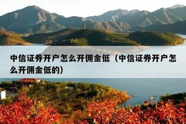 中信证券开户怎么开佣金低(中信证券开户怎么开佣金低的)