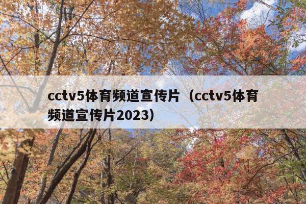cctv5体育频道宣传片(cctv5体育频道宣传片2023)