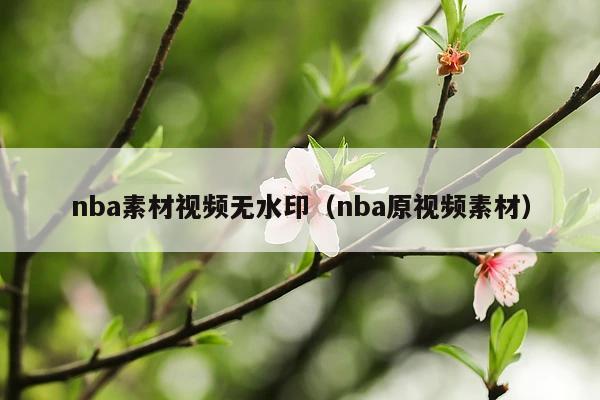 nba素材视频无水印(nba原视频素材)