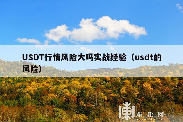 USDT行情风险大吗实战经验(usdt的风险)