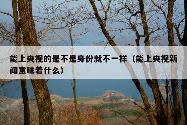 能上央视的是不是身份就不一样(能上央视新闻意味着什么)