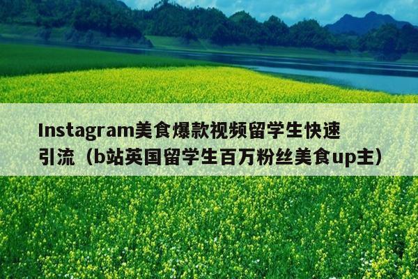 Instagram美食爆款视频留学生快速引流(b站英国留学生百万粉丝美食up主)