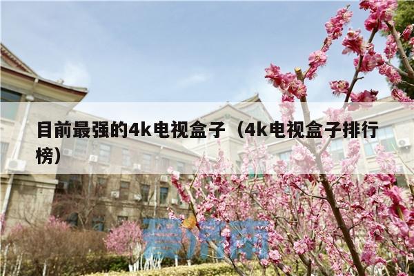 目前最强的4k电视盒子（4k电视盒子排行榜）