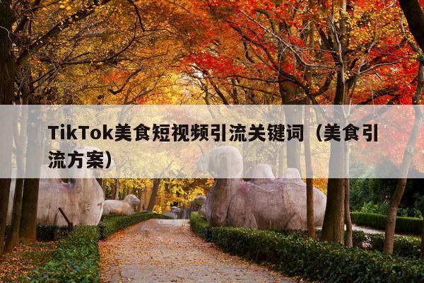 TikTok美食短视频引流关键词(美食引流方案)