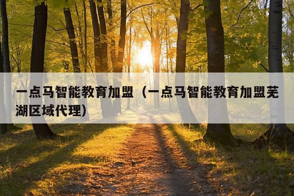 一点马智能教育加盟(一点马智能教育加盟芜湖区域代理)