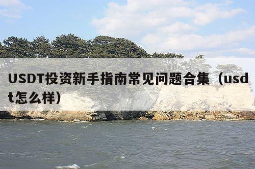 USDT投资新手指南常见问题合集(usdt怎么样)