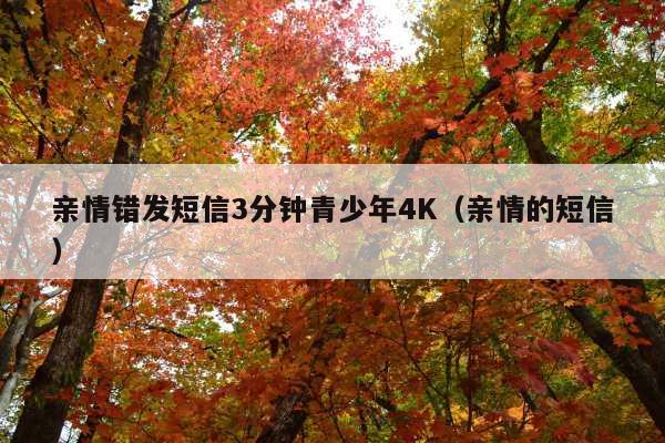 亲情错发短信3分钟青少年4K(亲情的短信)