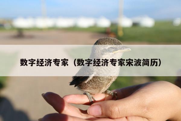 数字经济专家(数字经济专家宋波简历)