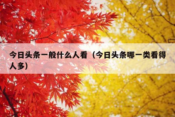 今日头条一般什么人看(今日头条哪一类看得人多)