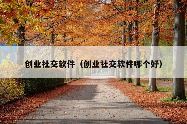 创业社交软件(创业社交软件哪个好)
