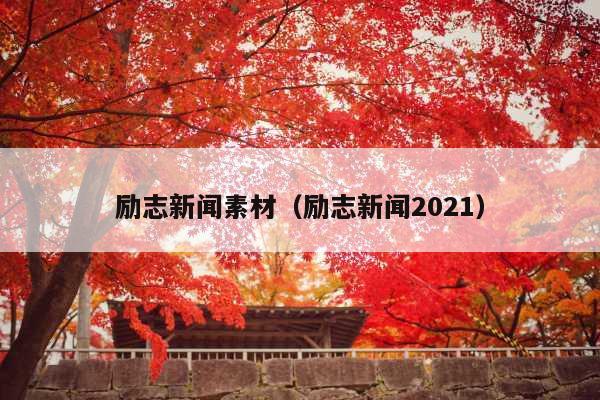 励志新闻素材(励志新闻2021)