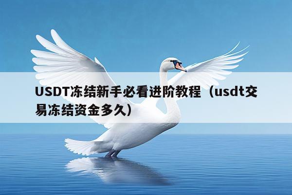 USDT冻结新手必看进阶教程(usdt交易冻结资金多久)