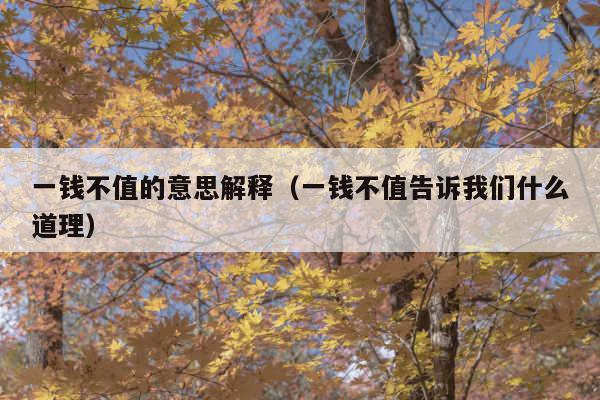一钱不值的意思解释(一钱不值告诉我们什么道理)