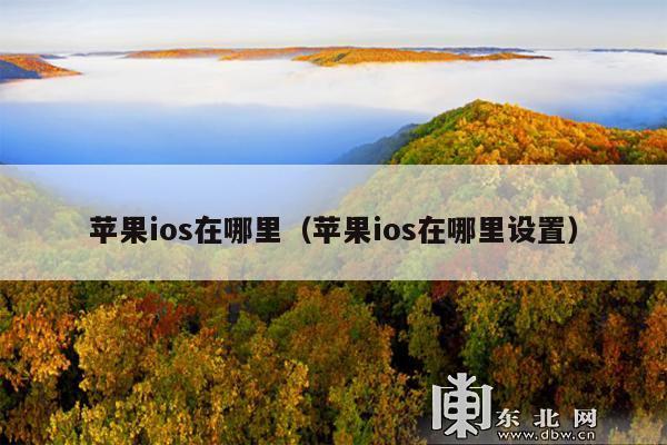 苹果ios在哪里(苹果ios在哪里设置)