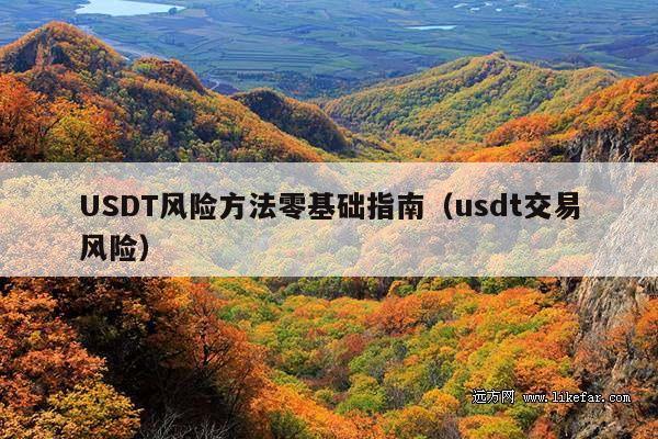 USDT风险方法零基础指南(usdt交易风险)