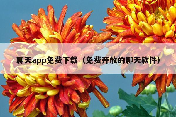 聊天app免费下载(免费开放的聊天软件)
