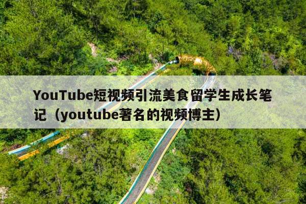 YouTube短视频引流美食留学生成长笔记(youtube著名的视频博主)