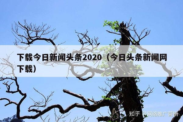 下载今日新闻头条2020(今日头条新闻网下载)