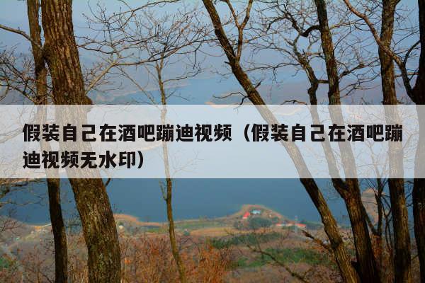 假装自己在酒吧蹦迪视频(假装自己在酒吧蹦迪视频无水印)