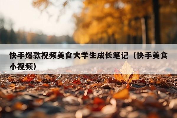 快手爆款视频美食大学生成长笔记(快手美食小视频)