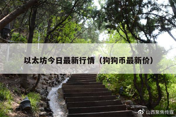 以太坊今日最新行情(狗狗币最新价)