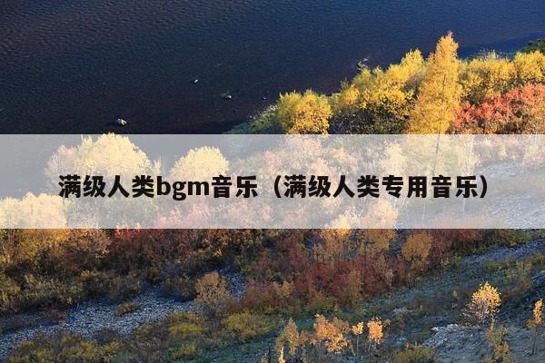 满级人类bgm音乐(满级人类专用音乐)