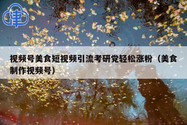 视频号美食短视频引流考研党轻松涨粉(美食制作视频号)