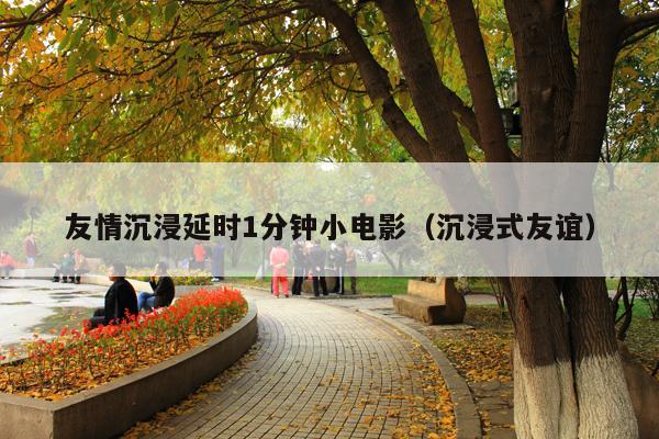 友情沉浸延时1分钟小电影(沉浸式友谊)