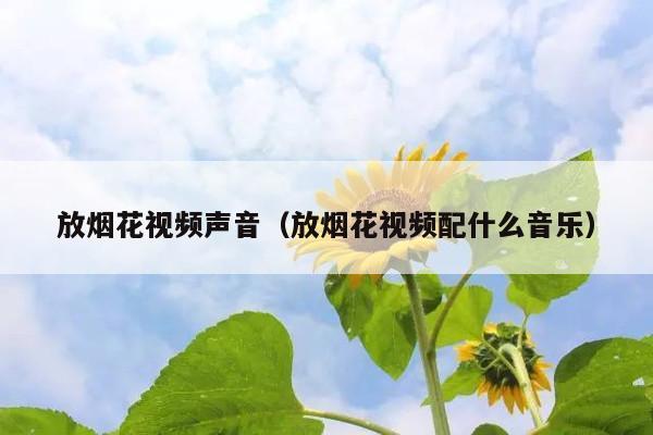 放烟花视频声音(放烟花视频配什么音乐)