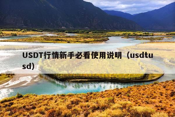 USDT行情新手必看使用说明(usdtusd)