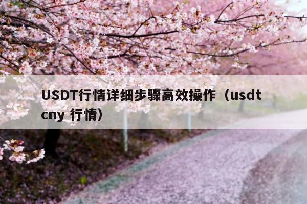 USDT行情详细步骤高效操作(usdt cny 行情)