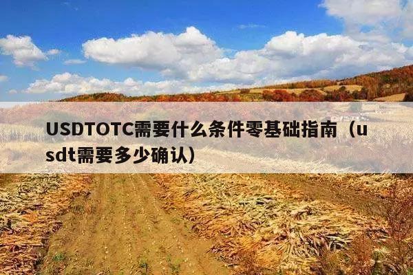 USDTOTC需要什么条件零基础指南(usdt需要多少确认)