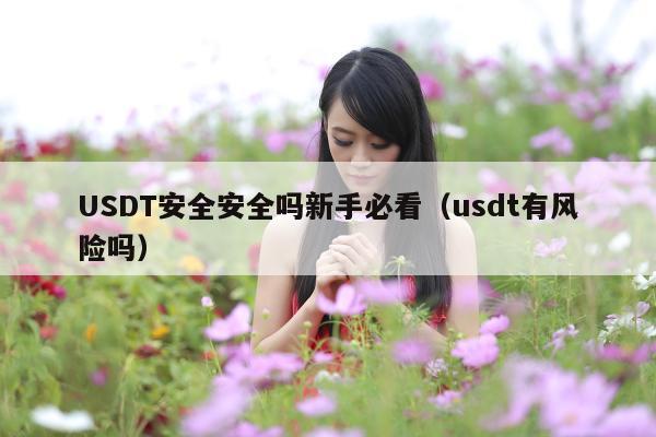 USDT安全安全吗新手必看(usdt有风险吗)