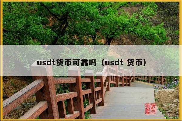 usdt货币可靠吗(usdt 货币)