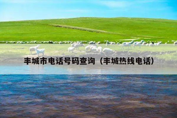 丰城市电话号码查询(丰城热线电话)