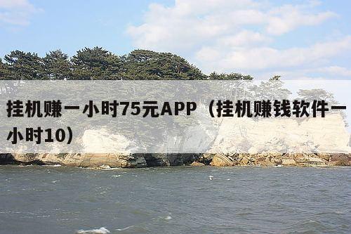 挂机赚一小时75元APP(挂机赚钱软件一小时10)