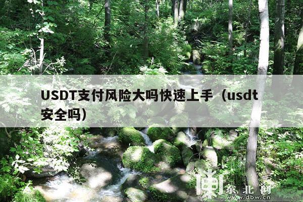 USDT支付风险大吗快速上手(usdt 安全吗)