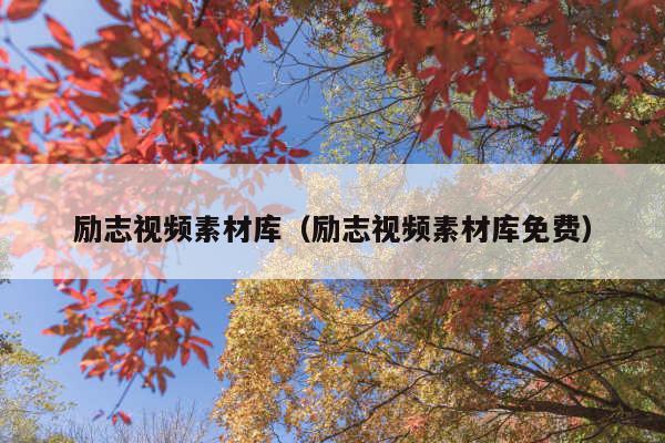 励志视频素材库(励志视频素材库免费)