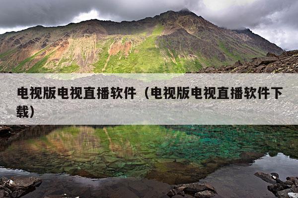 电视版电视直播软件(电视版电视直播软件下载)