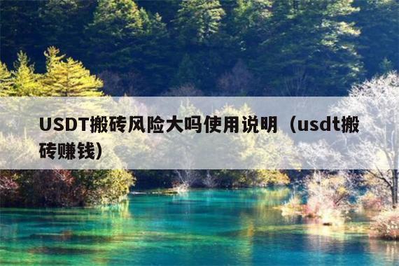 USDT搬砖风险大吗使用说明(usdt搬砖赚钱)