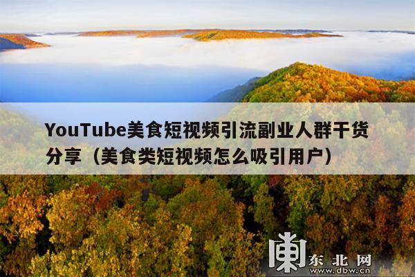 YouTube美食短视频引流副业人群干货分享(美食类短视频怎么吸引用户)