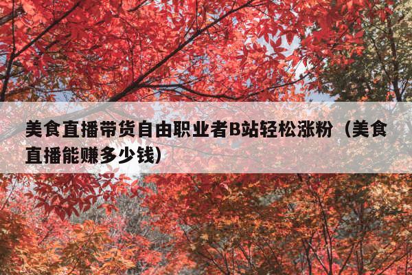 美食直播带货自由职业者B站轻松涨粉(美食直播能赚多少钱)
