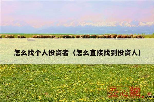 怎么找个人投资者(怎么直接找到投资人)