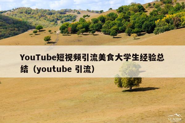 YouTube短视频引流美食大学生经验总结(youtube 引流)